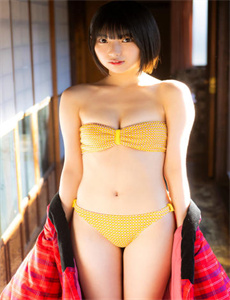 《大汉英雄》
